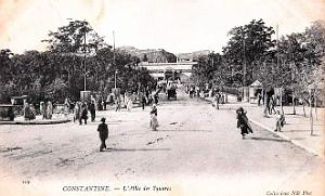 2981- Constantine - Allee des Squares - 1904